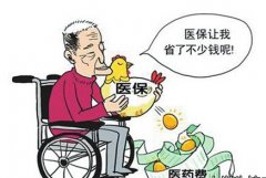 运城2017年城镇居民医疗保险个人缴费标准